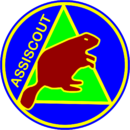 Distintivo branca castorini
