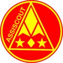 Distintivo branca rover