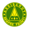 Assiscout